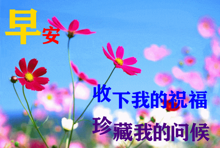 最漂亮早上好动态表情图片大全,早晨好动图美图大全_问候