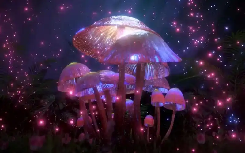 m534 4k画质梦幻唯美紫色3d蘑菇紫色粒子雨下落卡通幼儿园六一儿童节