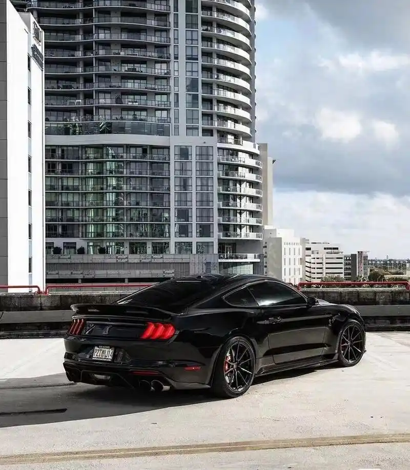 福特谢尔比gt500,城市中的眼镜蛇