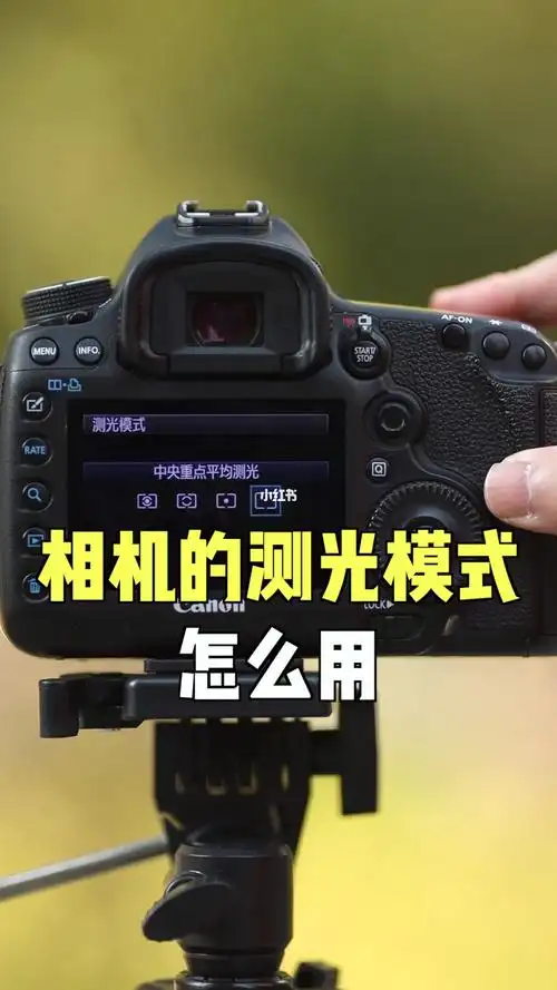 单反相机比较常用的测光方式和对焦模式是什么(单反相机标配都有什么