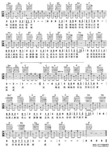 菊花台吉他谱