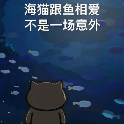 世代的狂音乐的王表情包一猫人歌词表情包