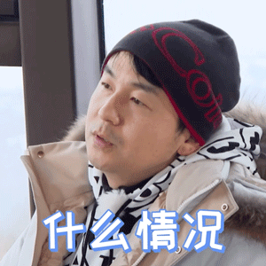 极限挑战7gif雷佳音gif什么情况gif好奇gif搞怪gif逗gif