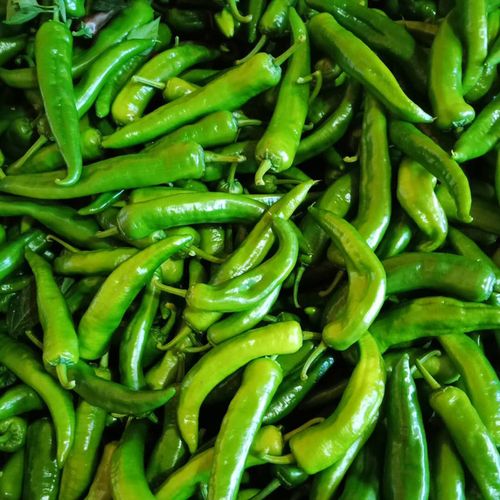 辣椒辣妹子新鲜超辣东北薄皮特辣蔬菜2斤辣椒