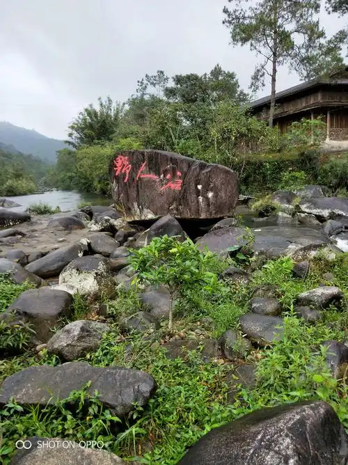 2019年2月15日东兴那良野人谷一日游!