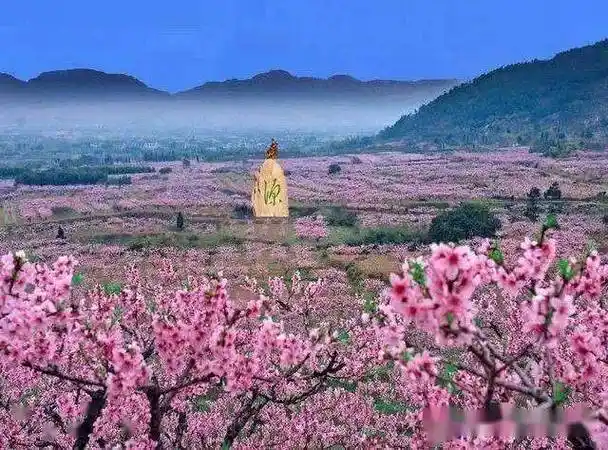 4月16日《顺假期》带您平谷桃花节赏桃花 湖洞水 农家菜纯玩一日游128