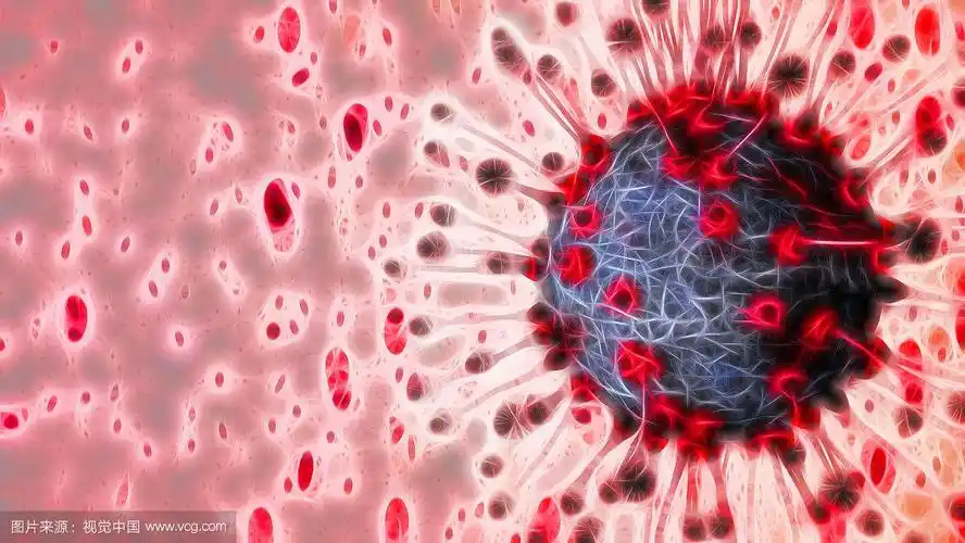 冠状病毒细胞显微视图