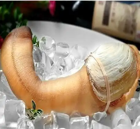 限时促销 朝鲜海笋贝 新鲜活速冻 酒店食材 800g/片/袋