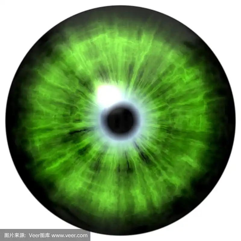 孤立的绿色眼睛.绿蓝剥离的虹膜插图