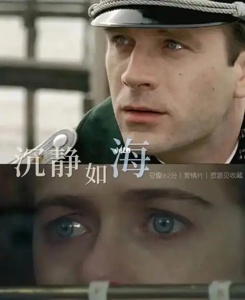 经典电影推荐沉静如海豆瓣92