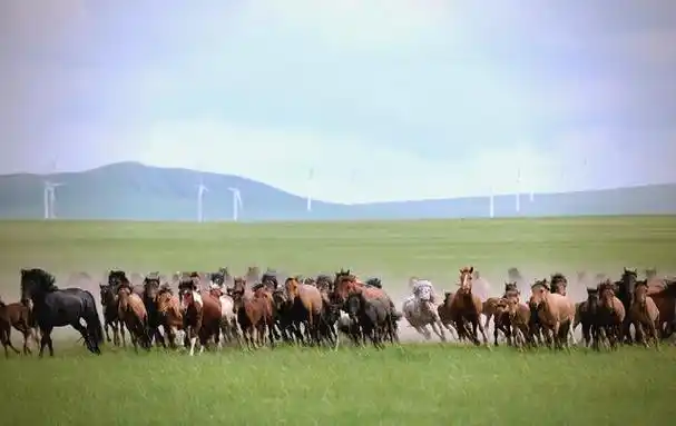 在锡林郭勒盟锡林浩特市的中国马都核心区文化生态旅游景区赛马场