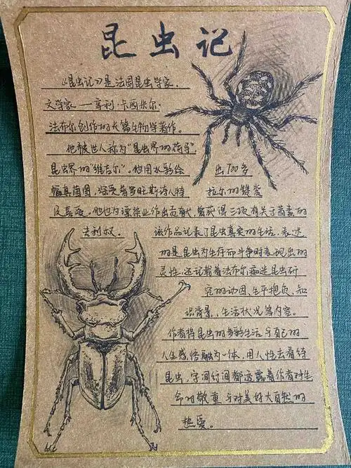 读书卡投票八年级