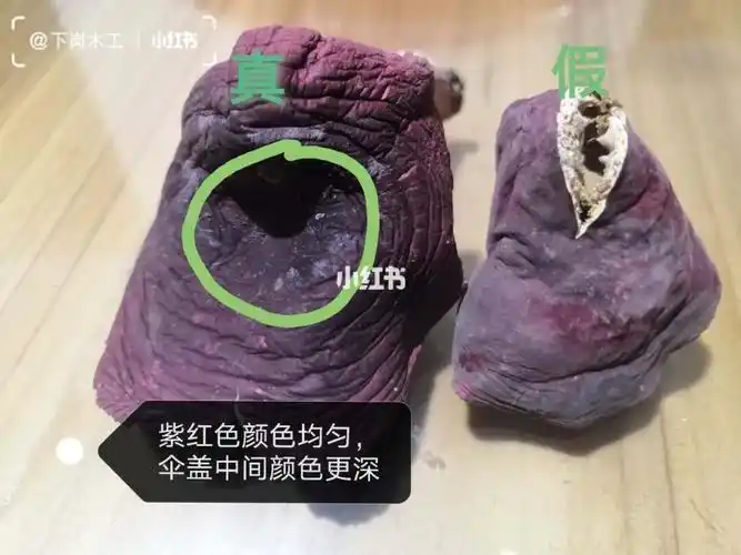 如何辨别真假红菇