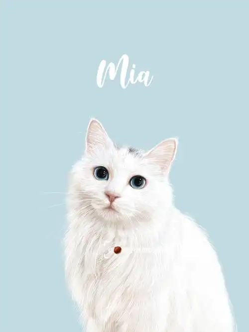 原创宠物画像定制|逼真的白猫猫93mia