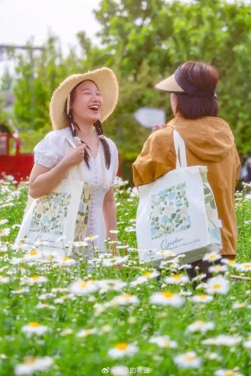 遇见艺术##海蒂的花园第七届花园节##园艺让生活更美好