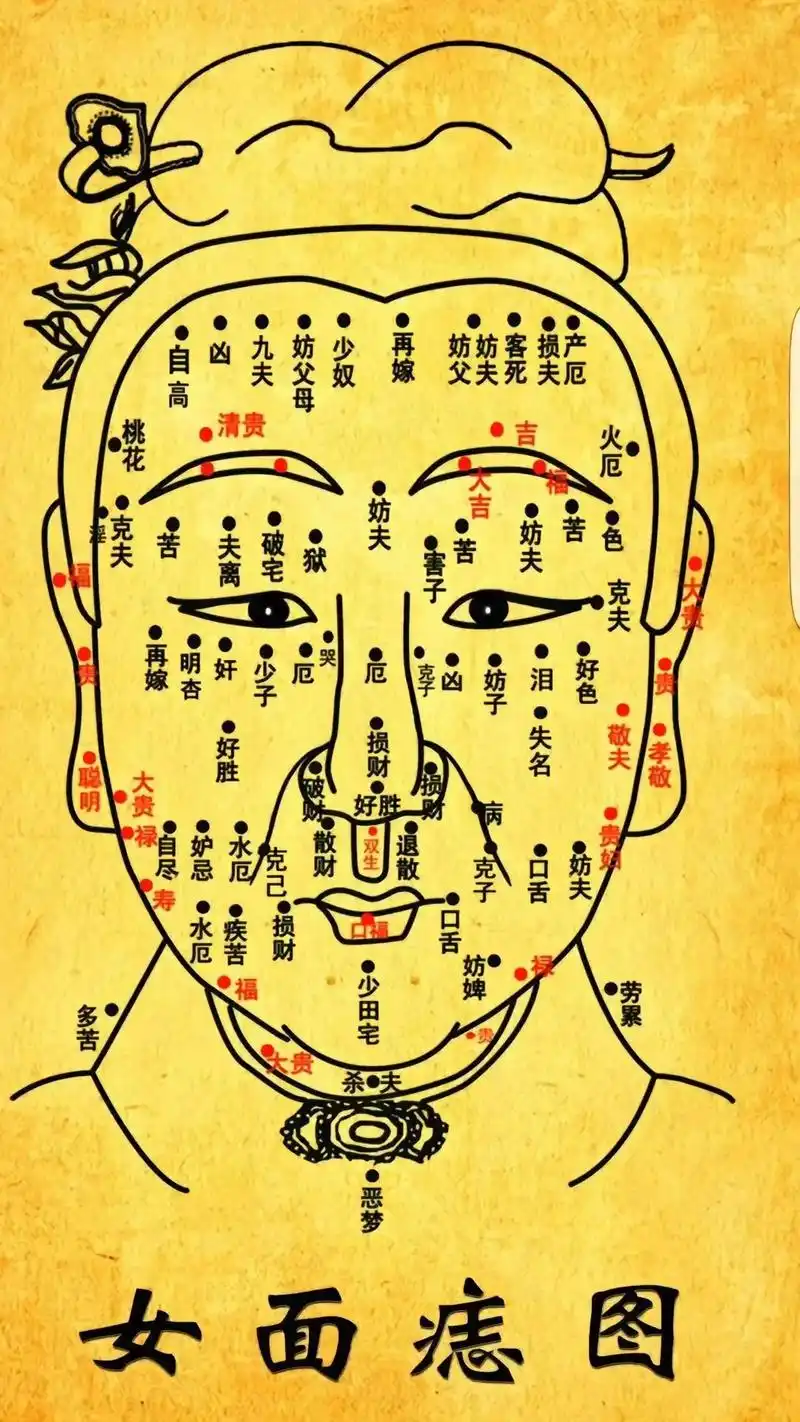 国学文化 #老祖宗的智慧 家中十样东西不旺运一.破旧不 - 抖音