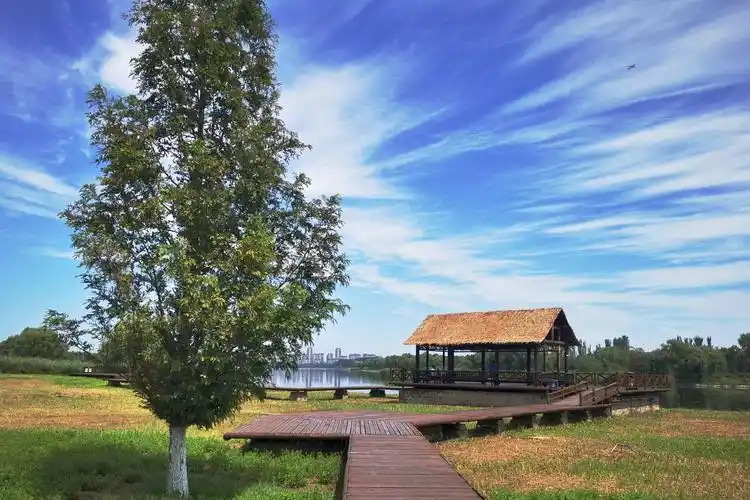 近日去了一趟《大运河森林公园》天气很好,景致很漂亮.