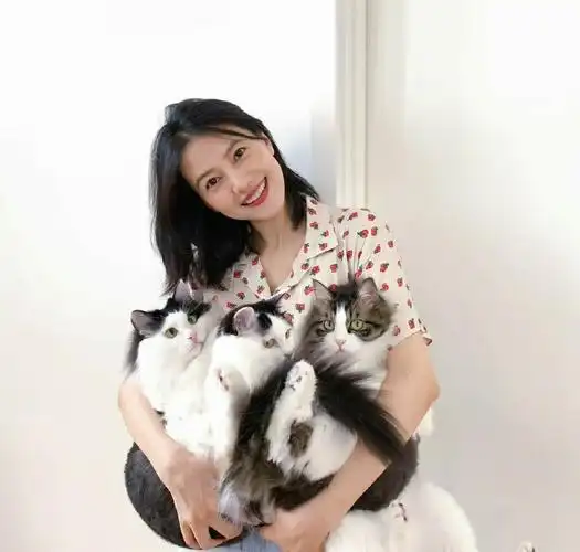 高圆圆_高圆圆_私服_明星私服_时尚_小红书