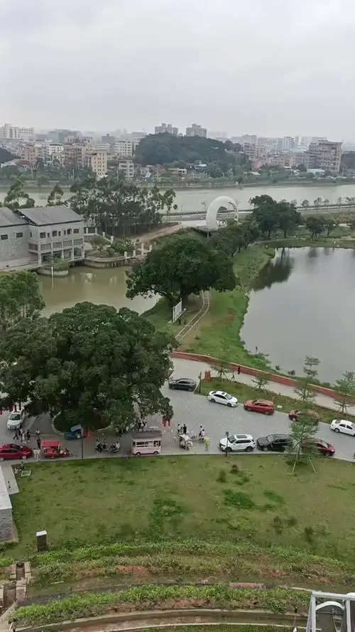 东坑马腰岭公园3月9号搞什么 - 抖音