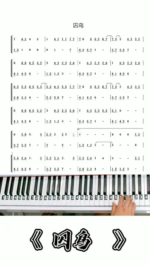 囚鸟钢琴简谱教学改编简单版