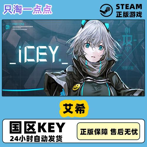 steam正版pc中文 艾希 icey 国区激活码  现货