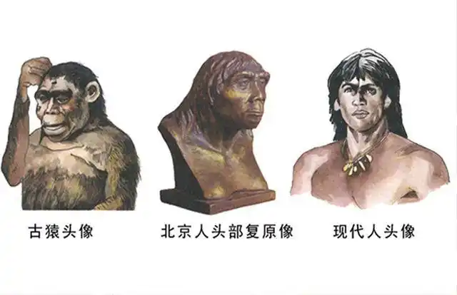 外媒:中国人祖先来自非洲,中国教授:我同意!老外评论一针见血