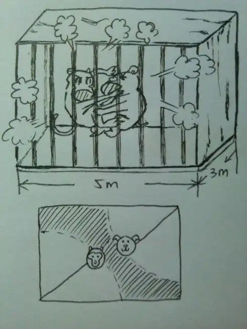 关在笼子猫狗简笔画