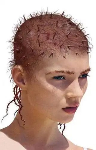 [贴图]主题:夸张秃顶宛若异类 史上最劲爆的明星发型