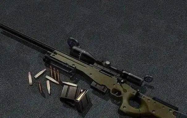 大家都喜欢的awm,现实排名中,还不如这两把冷门狙击枪