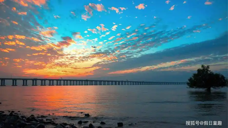 暑假可以去哪玩深圳宝安区游玩去处介绍