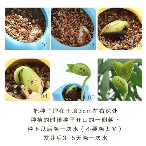 101付伊涵的魔豆成长日记