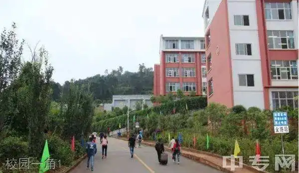 禄劝第一中学校园图片,环境怎么样?