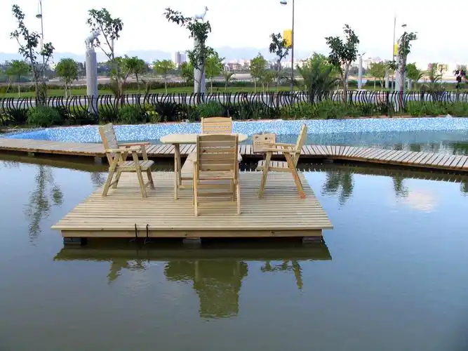 但必须是从陆地延伸到水面上的才叫做亲水平台. /p>