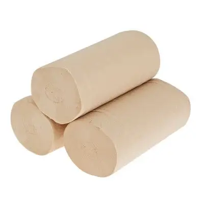 斑布 竹浆本色无漂白无芯卷纸 3层*70g*10卷