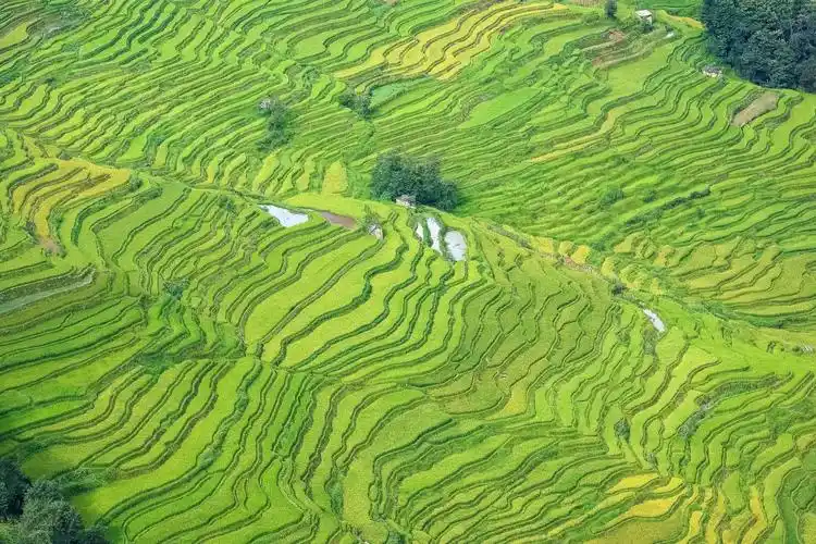 八月的云南元阳梯田,云南东川红土地.