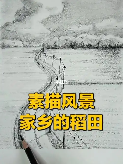 素描风景家乡的稻田