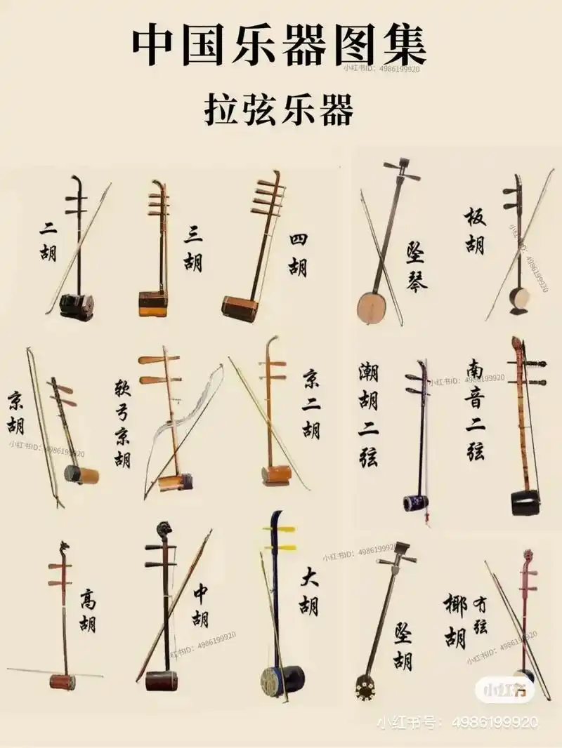 中国民族乐器,历史悠久,源远流长!#中国历史 #传统文化 # - 抖音