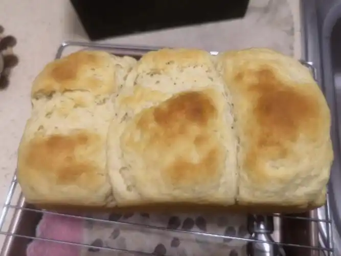 断筋的北海道吐司我哭了