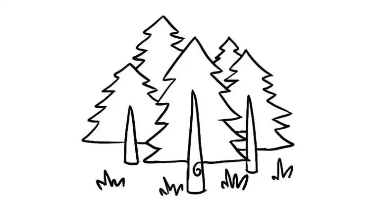 幼儿森林公园简笔画 简笔画图片大全-普车都