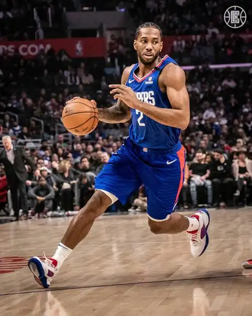 伦纳德率领猛龙队一个赛季就夺得总冠军其数据如何