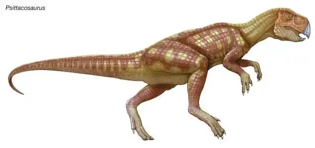 鹦鹉嘴龙简笔画这么画