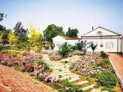 农村人居环境整治纳入乡镇考核