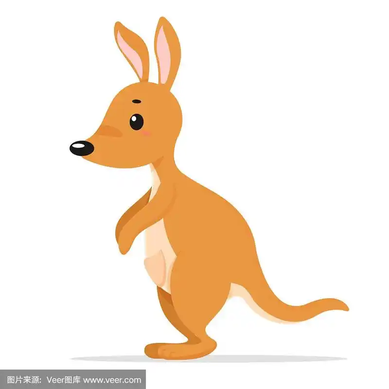 袋鼠是澳大利亚的国兽.孤立在白色背景上.