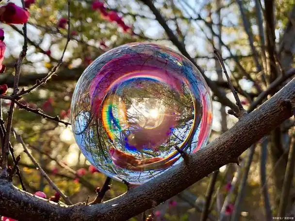 泡时,会在肥皂膜的内外表面,经历一系列的反射和折射,使得不同颜色的