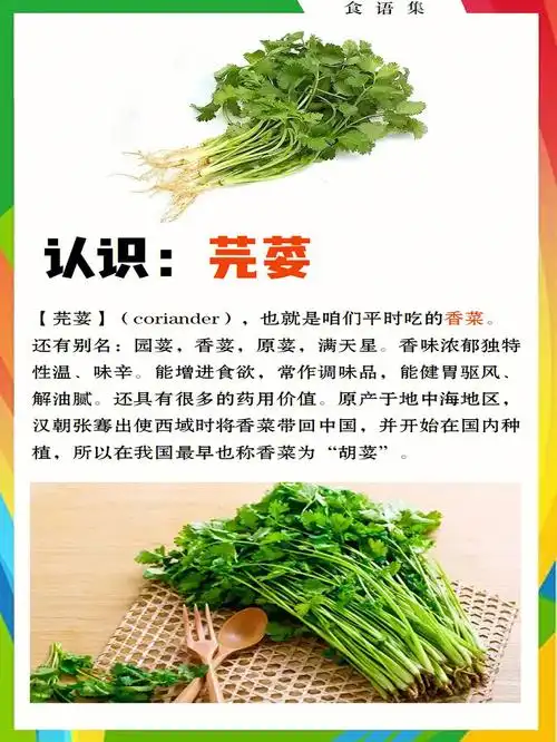97【芫荽】(coriander),也就是咱们平时吃的香菜,还有别名:园荽,香