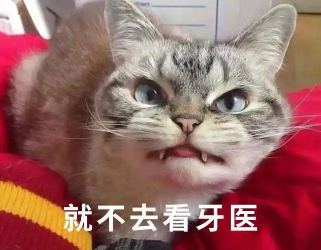 我寻思一只小猫咪能有多丑直到它长出了地包天