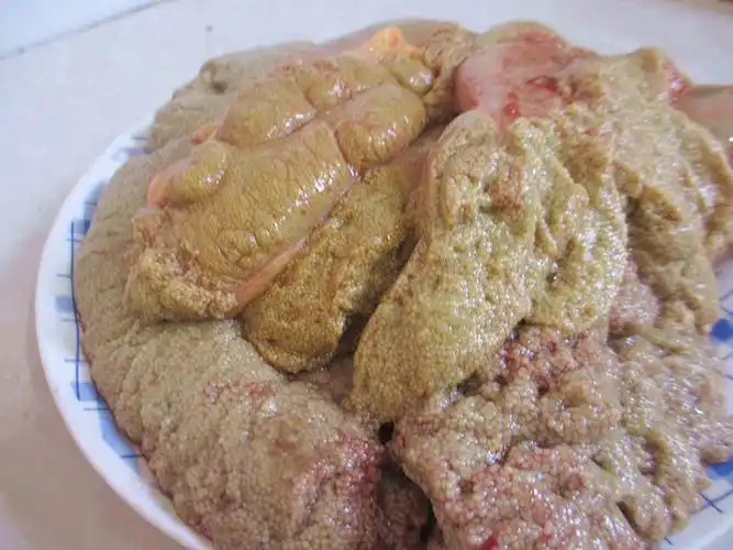 棠鲜生新鲜鱼籽纯鲤鱼鱼籽鱼卵鱼蛋鱼子3斤