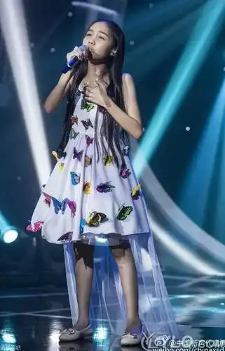 汤晶锦 歌手/学生/网络红人