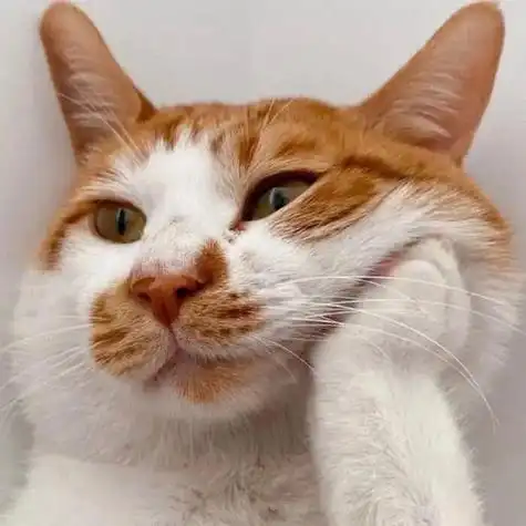 首页123456下一页精选头像羊驼头像沙雕搞笑有哪些沙雕搞笑的头像小