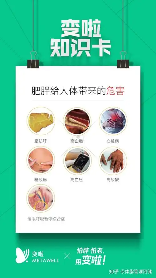 内脏脂肪形成的原因1.饮酒过量;2.